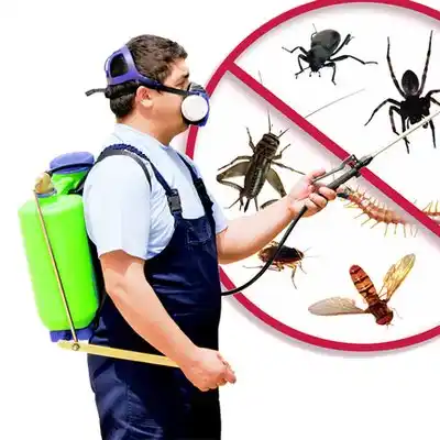 pest control Lockland